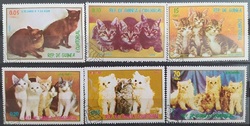 Rovníková Guinea - Kočky