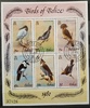Belize - Ptáci