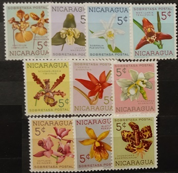 Nikaragua - Květiny
