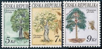 ČR - Ochrana přírody -  stromy