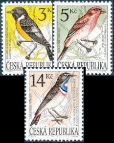 Ochrana přírody - zpěvné ptactvo