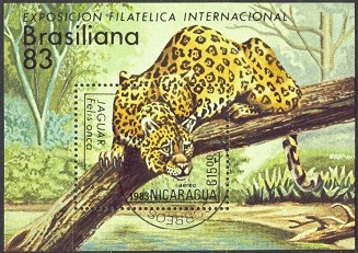 Nikaragua - Jaguár