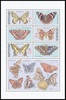 Ochrana přírody - Motýli