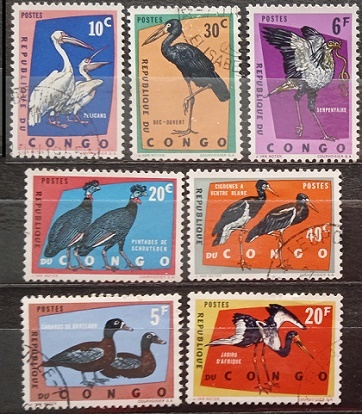 Kongo - ptáci