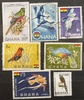 Ghana - ptáci
