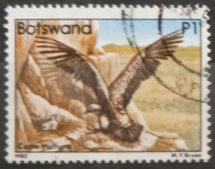 Botswana - ptáci