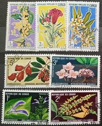 Kongo - flora