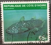 Pobřeží slonoviny - ryba