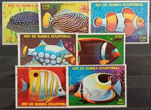 Rovníková Guinea - ryby