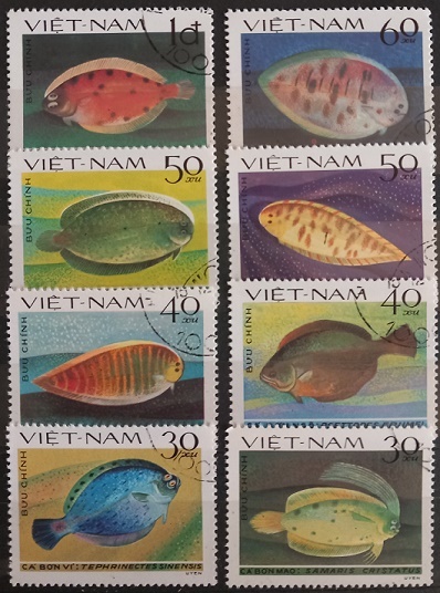 Vietnam - ryby