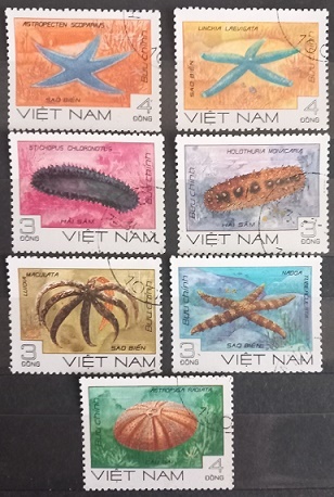 Vietnam - hvězdice