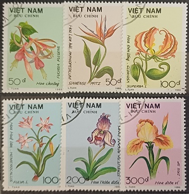 Vietnam - Květiny