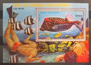 Rovníková Guinea - Ryby