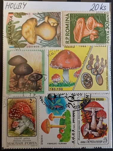 20 různých houby