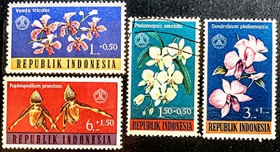 Indonésie - Orchideje