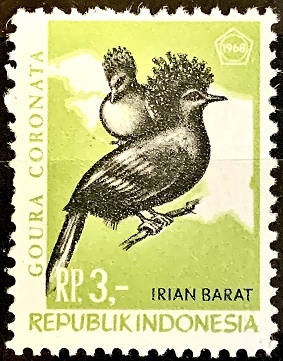 Západní Iirian