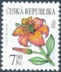 Krása květů