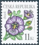 Krása květů