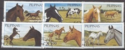 Filipíny - Koně