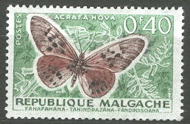 Madagaskar - fauna