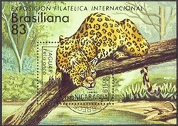 Nikaragua - Jaguár