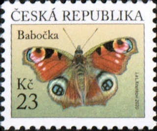 Motýl - babočka