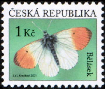 Motýl - bělásek
