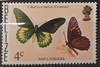 Belize - motýl
