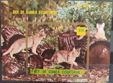 Rovníková Guinea - Kočky