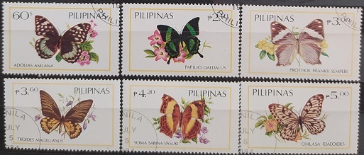Filipíny - Motýli