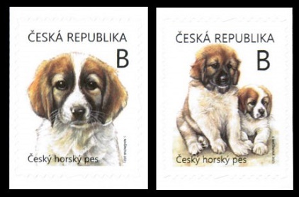 Mláďata - Český horský pes