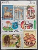 30 různých houby