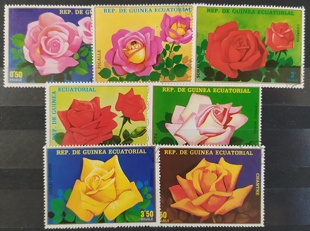 Rovníková Guinea - Růže